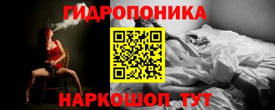 скорость Будённовск