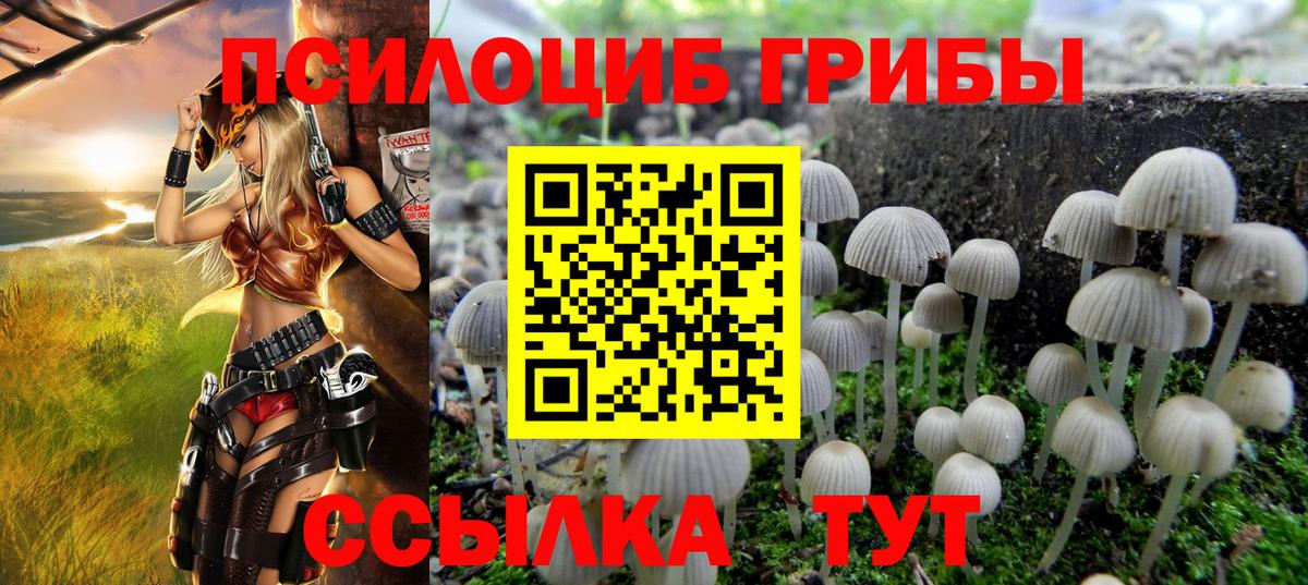 где можно купить наркотик  Вход с VPN  Тара  Галлюциногенные грибы GOLDEN TEACHER 